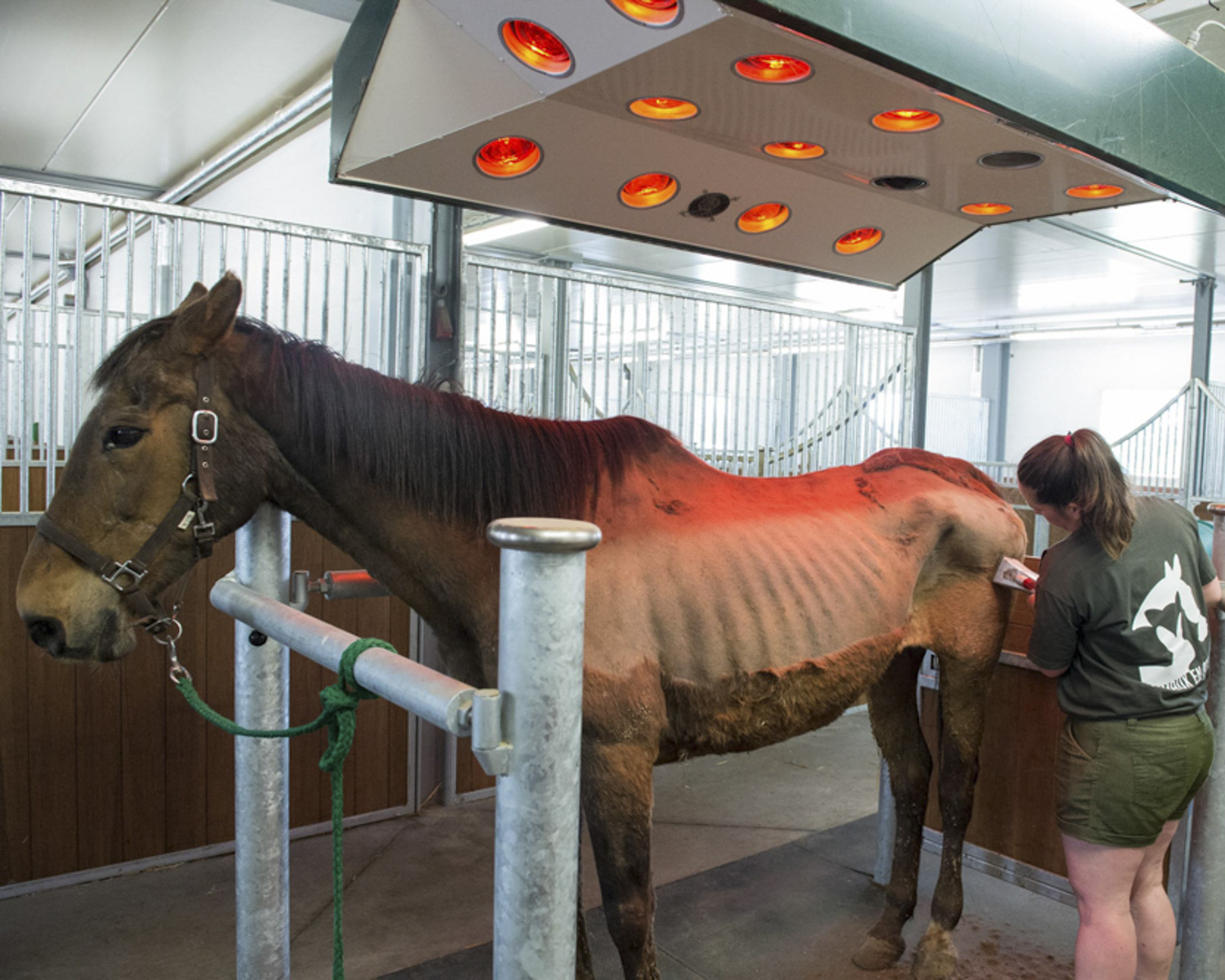 Les équipements spécifiques