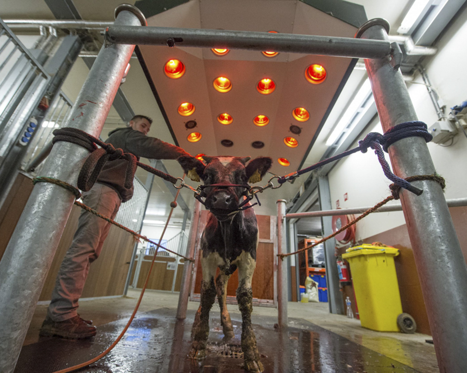 Les équipements spécifiques