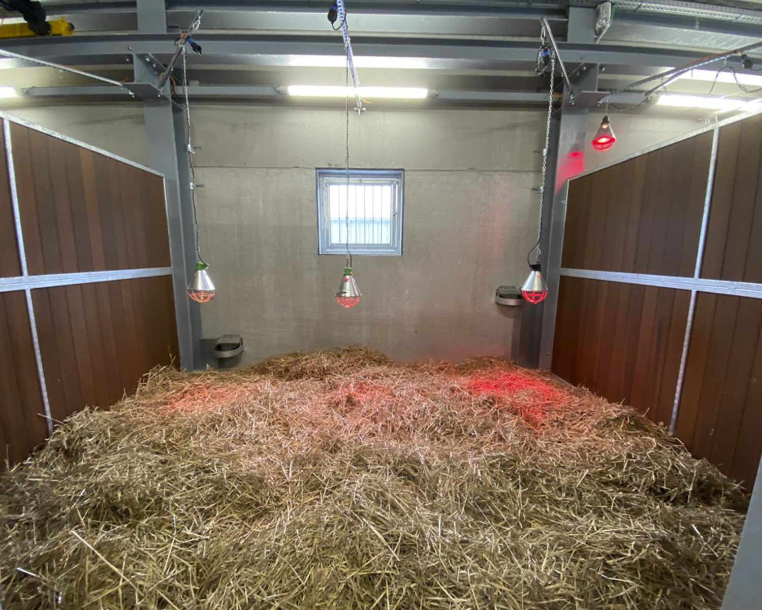 L'unité de soins et de quarantaine