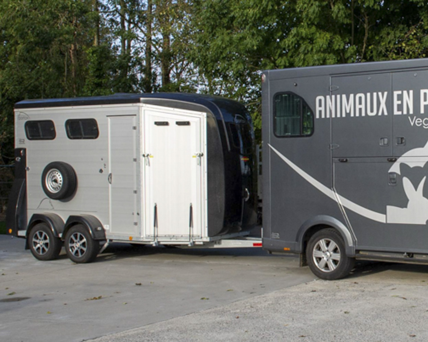 Le transport pour animaux