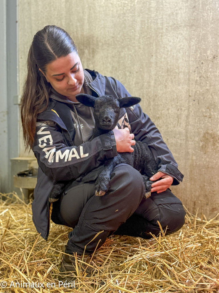 Zélie est arrivée avec un secret bien gardé