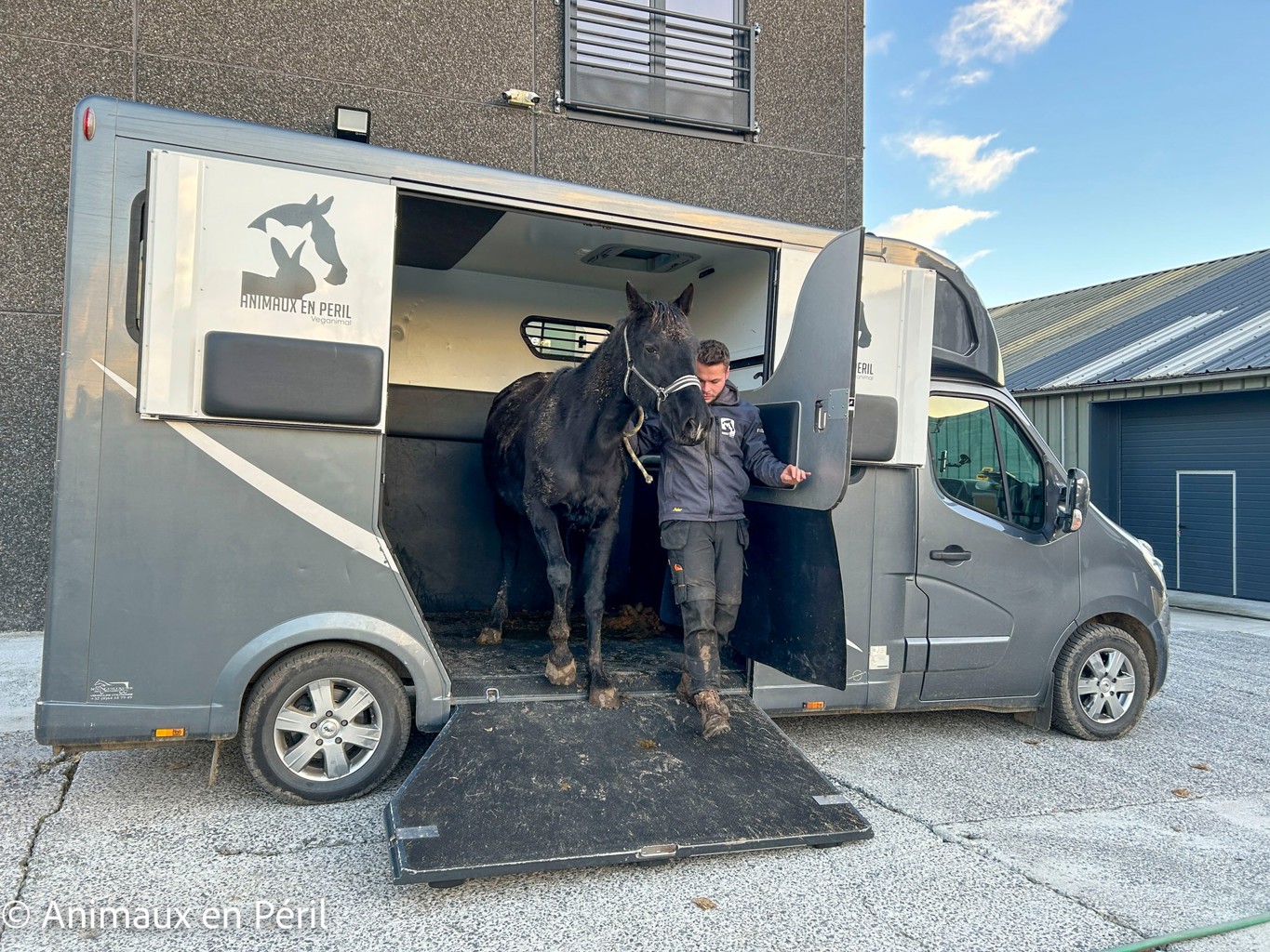 Plusieurs refuges interviennent pour secourir des animaux maltraités à Celles