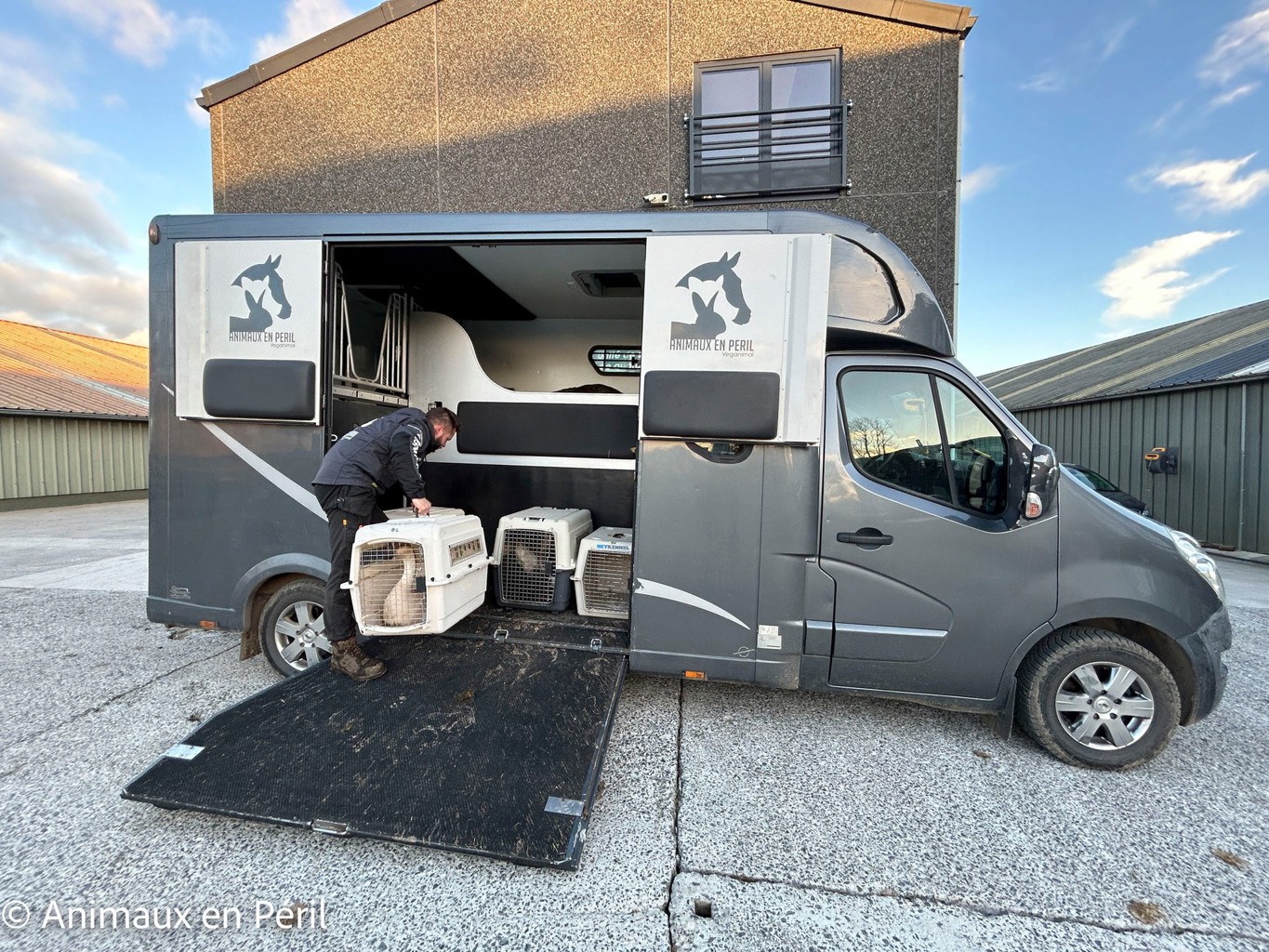 Plusieurs refuges interviennent pour secourir des animaux maltraités à Celles