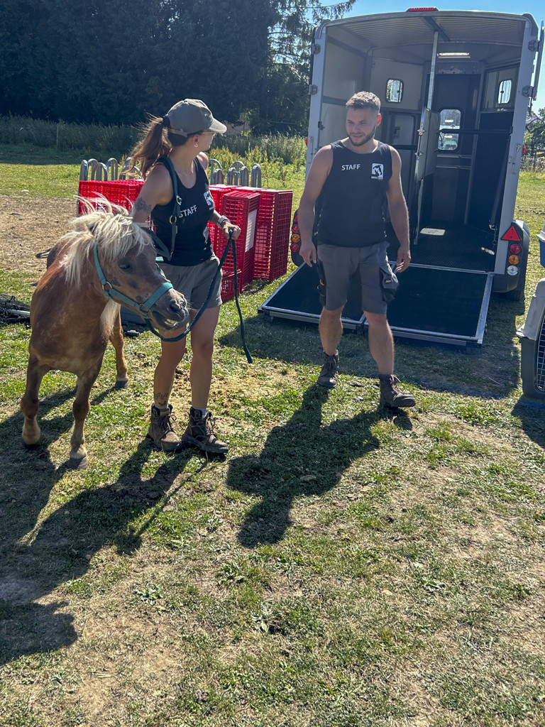 Sambreville : nouvelle saisie d’animaux négligés, 14 mois après une première intervention 