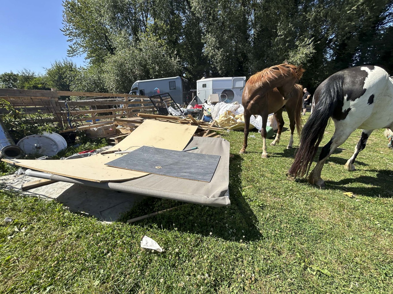 Sambreville : nouvelle saisie d’animaux négligés, 14 mois après une première intervention 