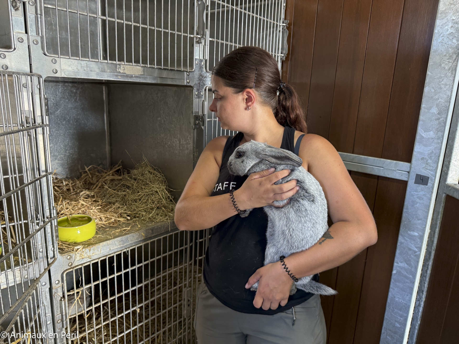 Boussu : 37 animaux enfin libérés de leurs souffrances
