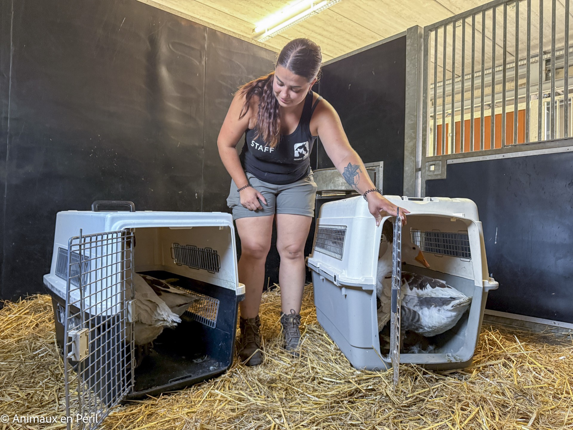 Boussu : 37 animaux enfin libérés de leurs souffrances